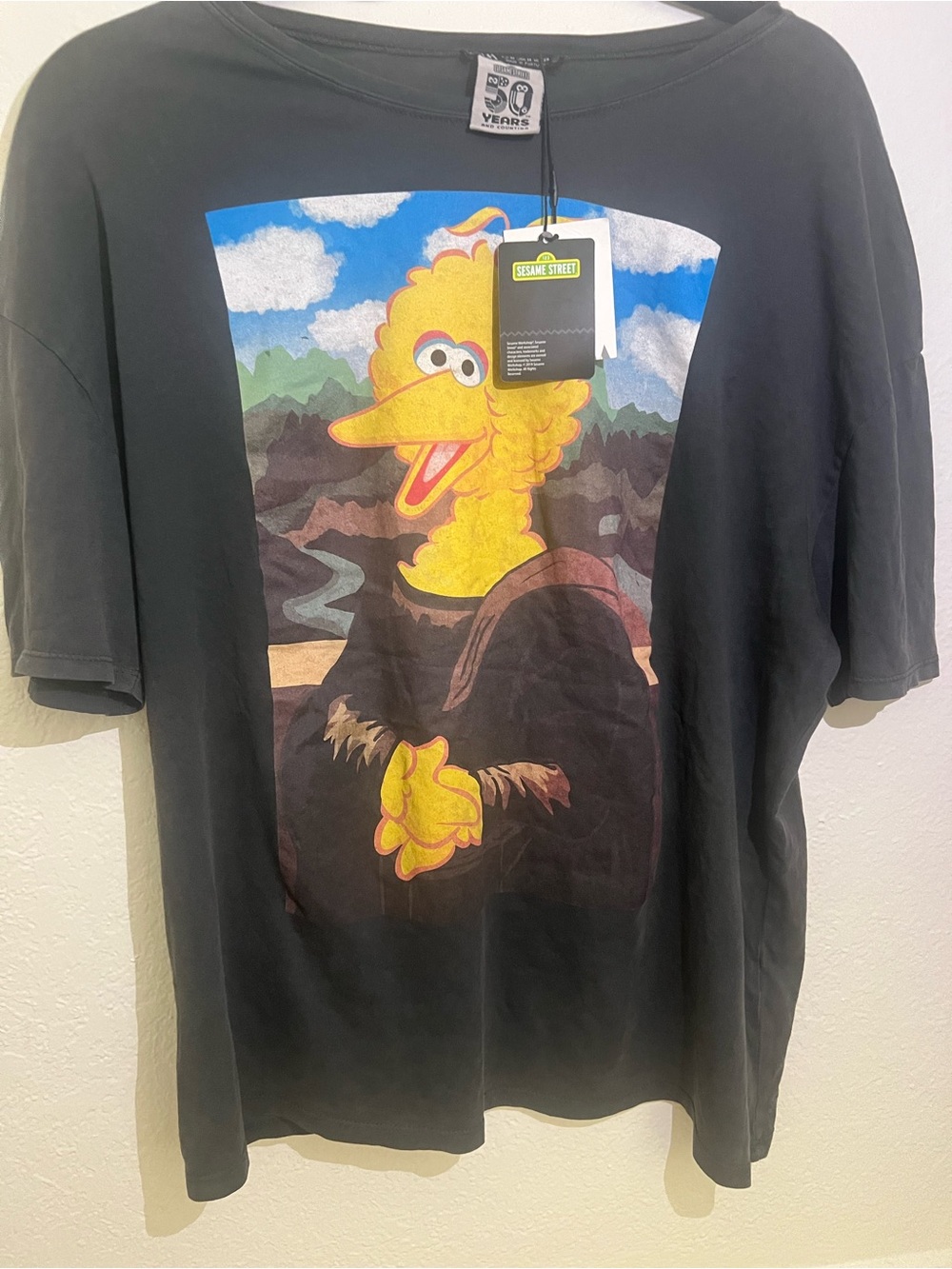T-shirt with Big Bird